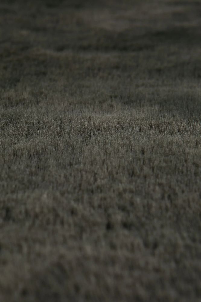 Tapis - Tapis Eddy Thym 70 x 140 - MAISON VIVARAISE - SDE VIVARAISE WINKLER