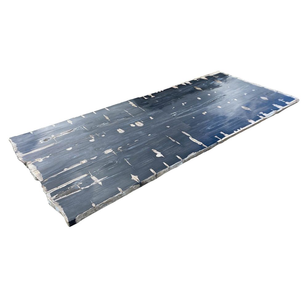 Dining Tables - Petrified Wood table tops - XYLEIA PETRIFIED WOOD