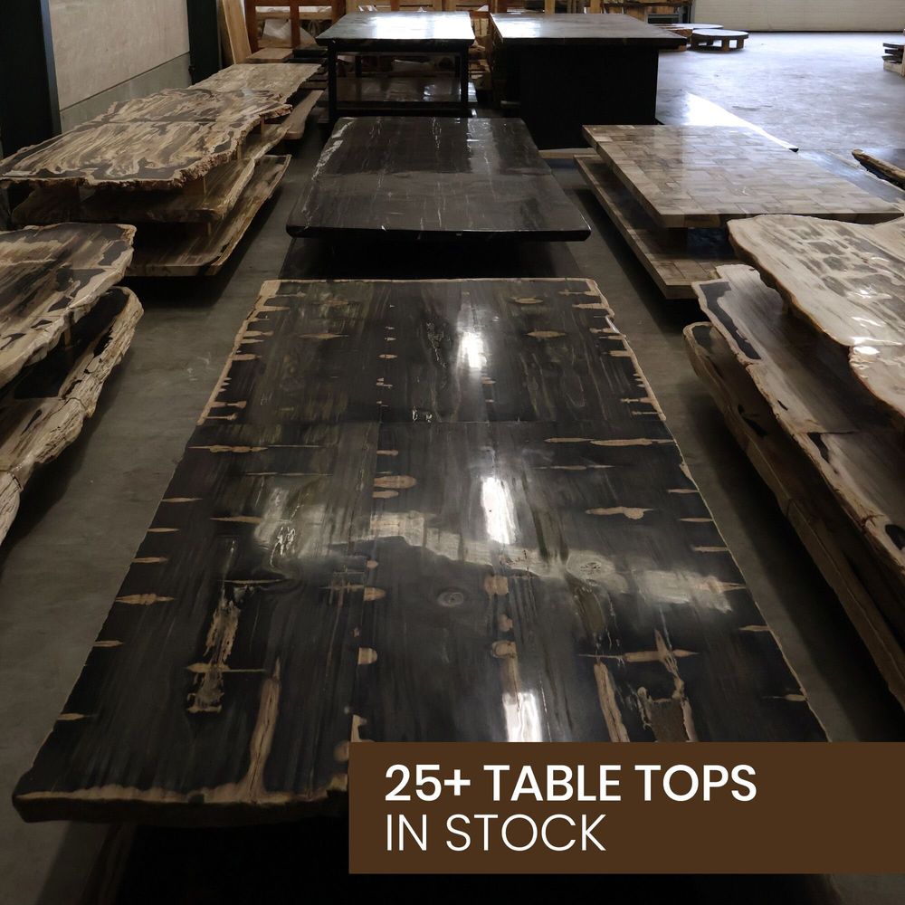 Dining Tables - Petrified Wood table tops - XYLEIA PETRIFIED WOOD