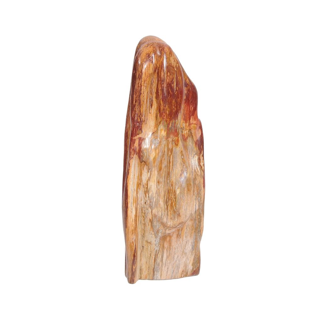 Unique pieces - Small Petrified Wood Sculptures - XYLEIA PETRIFIED WOOD