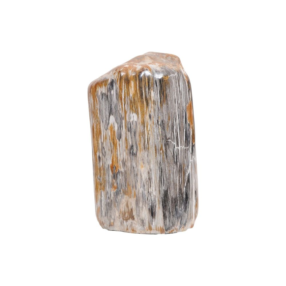 Unique pieces - Small Petrified Wood Sculptures - XYLEIA PETRIFIED WOOD