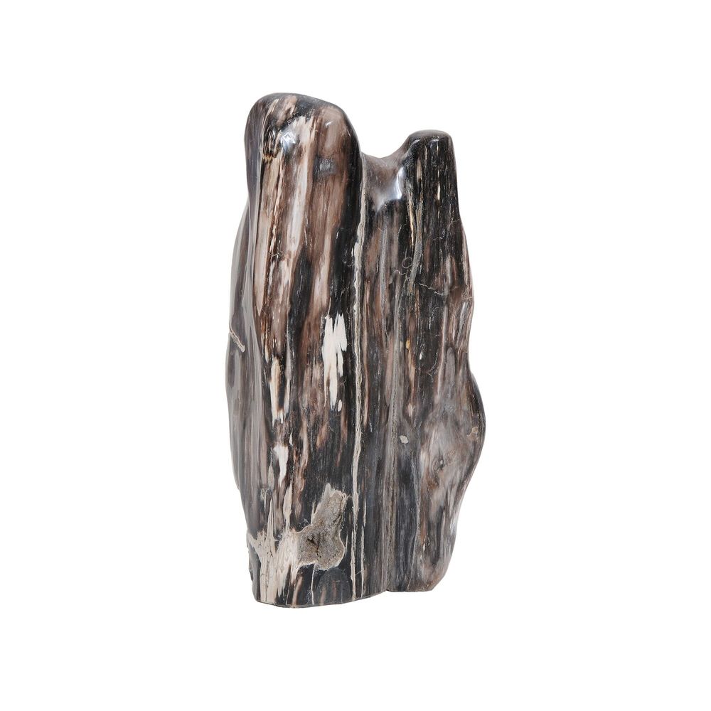 Unique pieces - Small Petrified Wood Sculptures - XYLEIA PETRIFIED WOOD