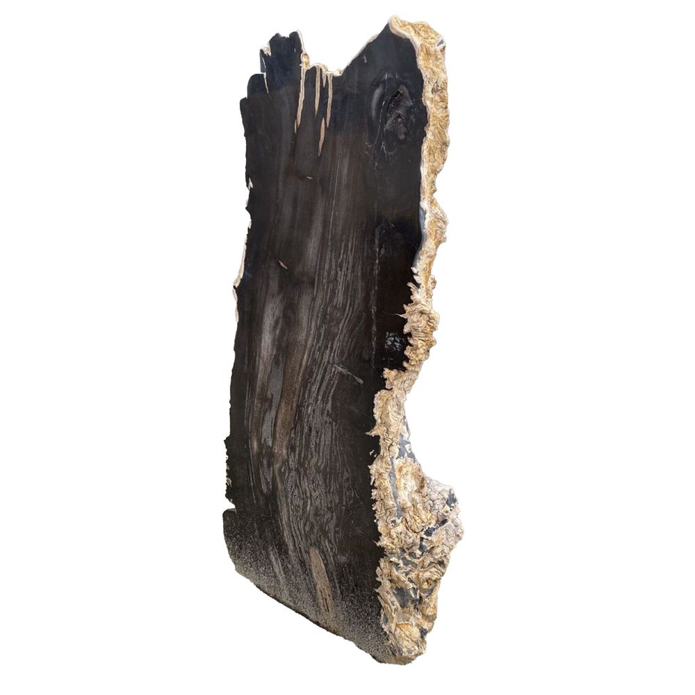 Outdoor decorative accessories - Petrified Wood Garden Sculptures - XYLEIA PETRIFIED WOOD