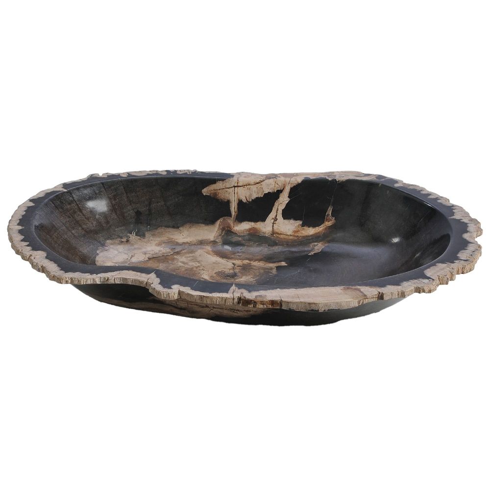 Bowls - Petrified Wood Decorative Bowls - XYLEIA PETRIFIED WOOD