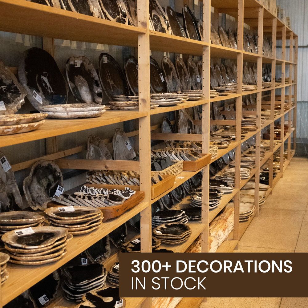 Bowls - Petrified Wood Decorative Bowls - XYLEIA PETRIFIED WOOD