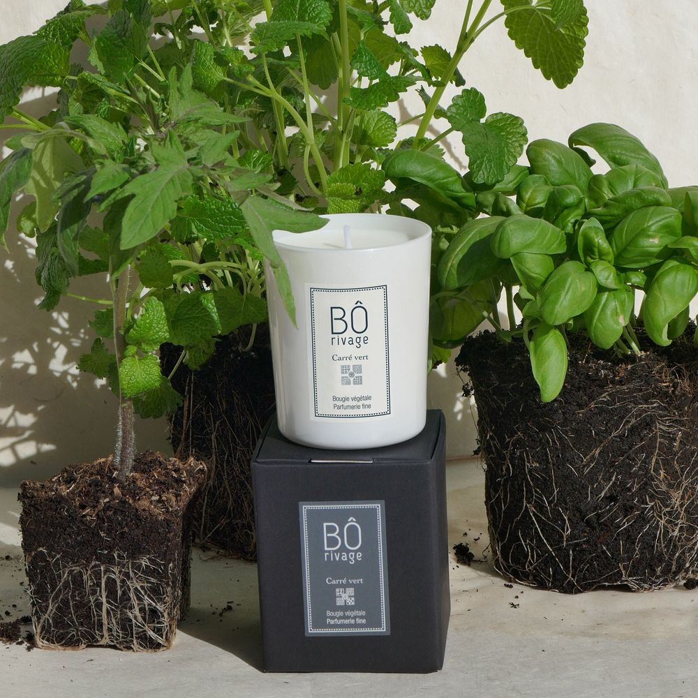 Gifts - "Carré vert" Candle - BÔRIVAGE