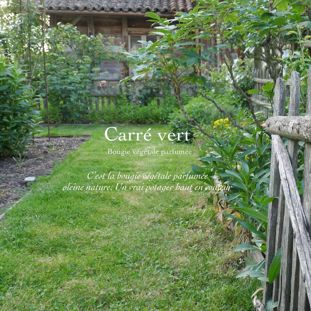 Gifts - "Carré vert" Candle - BÔRIVAGE