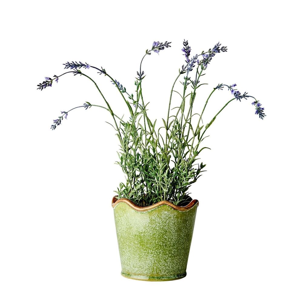 Poterie - Collecte LIVIA - AFFARI OF SWEDEN