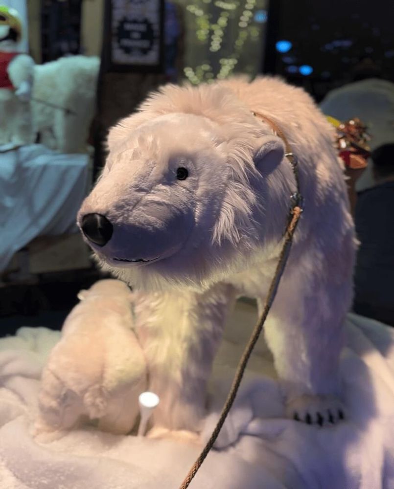 Other Christmas decorations - Santa Claus & polar bear - ANIMATE FACTORY