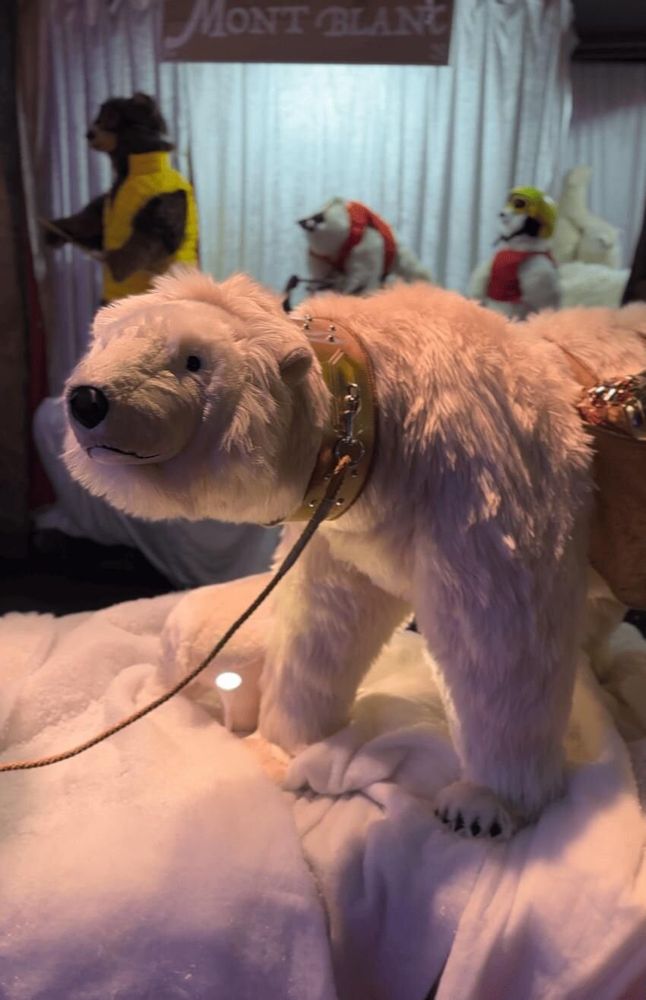 Other Christmas decorations - Santa Claus & polar bear - ANIMATE FACTORY