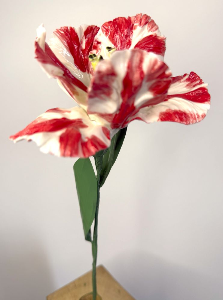 Ceramic - Parrot Tulip - FLEURIR L AVENIR