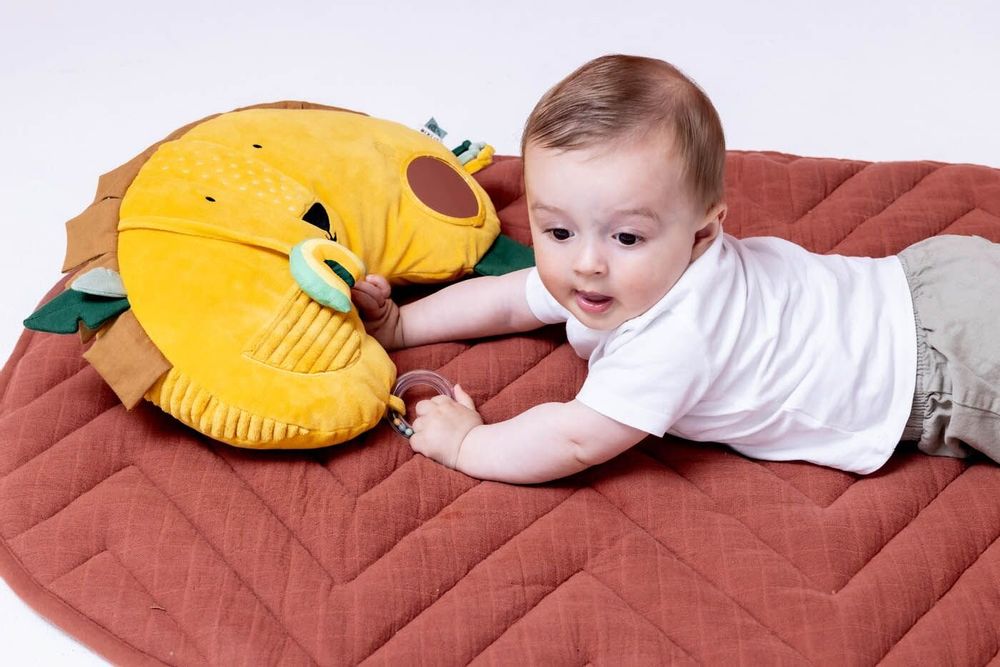 Kids accessories - Baby soft toys - TRIXIE
