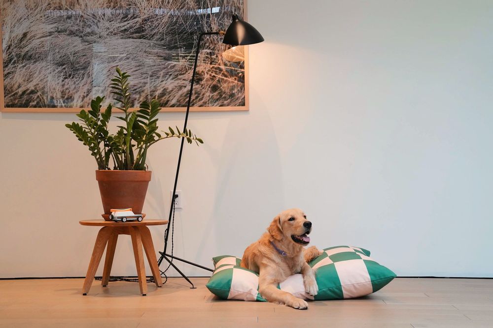 Outdoor fabrics - The Fritz Dog Bed - APPROVED BY FRITZ