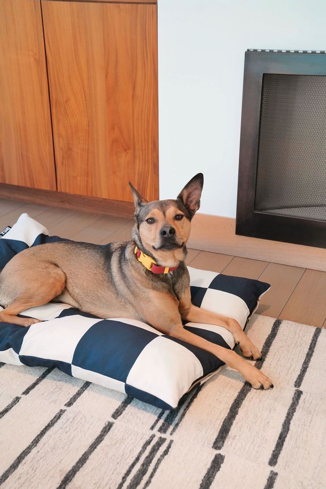 Outdoor fabrics - The Fritz Dog Bed - APPROVED BY FRITZ