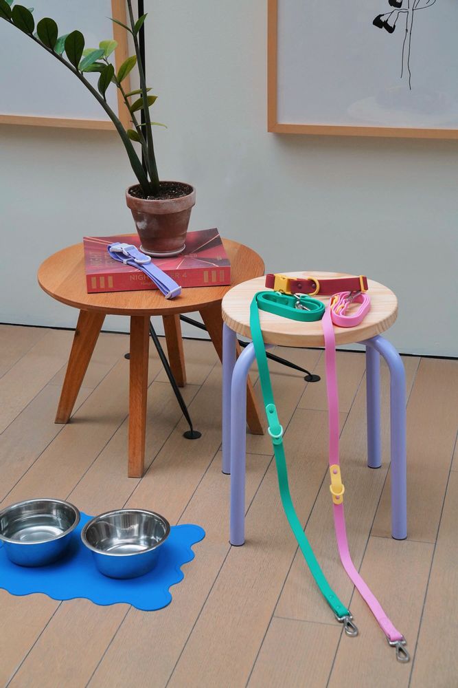 Pet accessories - The Fritz Dog Leash - APPROVED BY FRITZ
