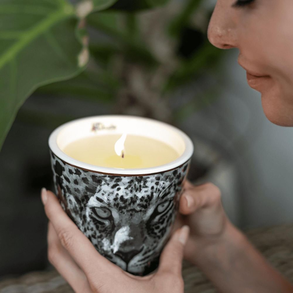 Candles - SAVANNAH NIGHTS Luxury Candle - 400g | ARTITUDE HOME - ARTITUDE HOME