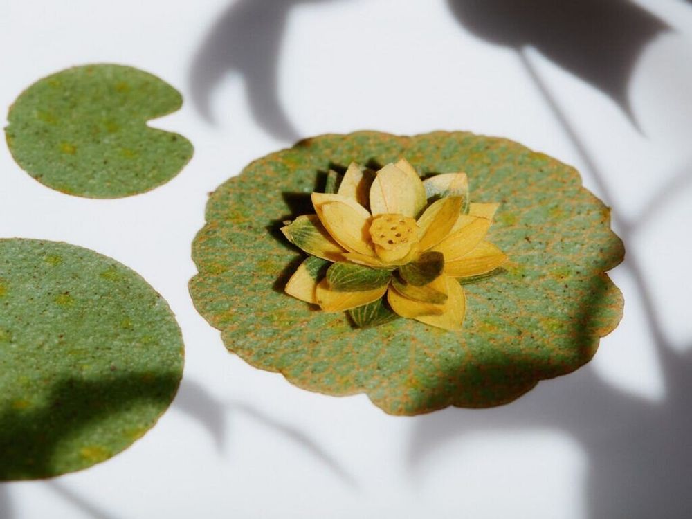 Candy - Yü Lotus Set - A sensory ritual to reconnect with yourself - YÜSSÉE