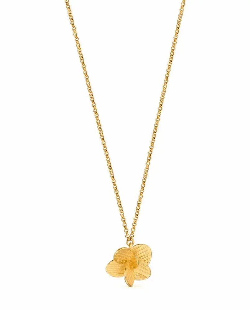 Jewelry - GOLDEN NECKLACE PAMPALONIA CHAIN - JOIDART