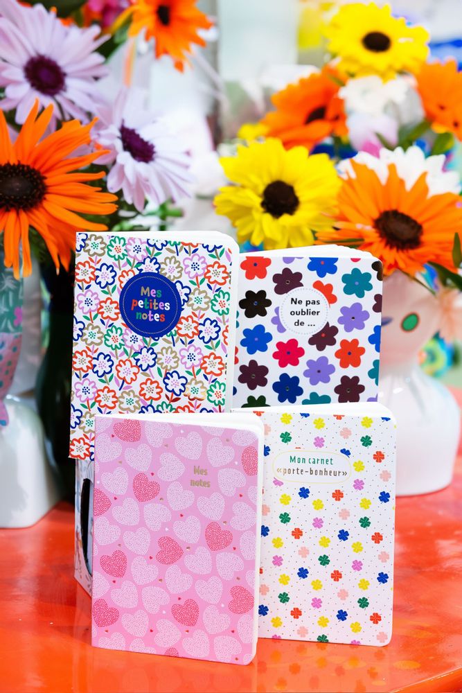 Stationery - POCKET NOTEBOOKS - CARTESDART
