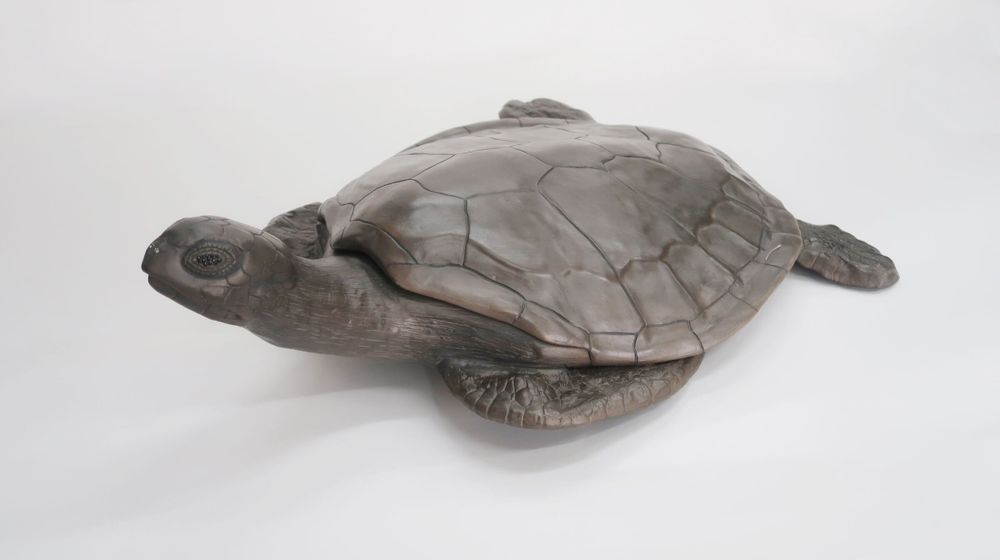 Design objects - Sea Turtle Object - GILLES CAFFIER