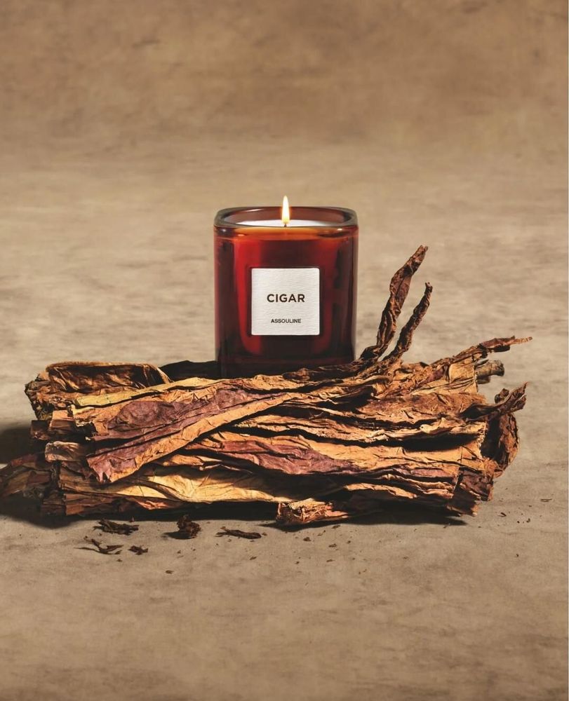 Candles - Library Candle Cigar - ASSOULINE