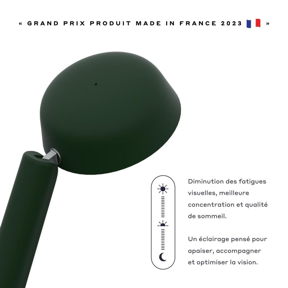 Objets design - Lampe Polux - Vert forêt & Jaune - LUMINAIRES POLUX