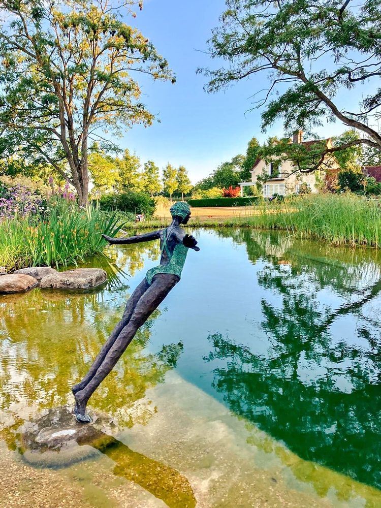 Outdoor decorative accessories - Swimming sculptures - DAWN CONN SCULPTURE LIMITED