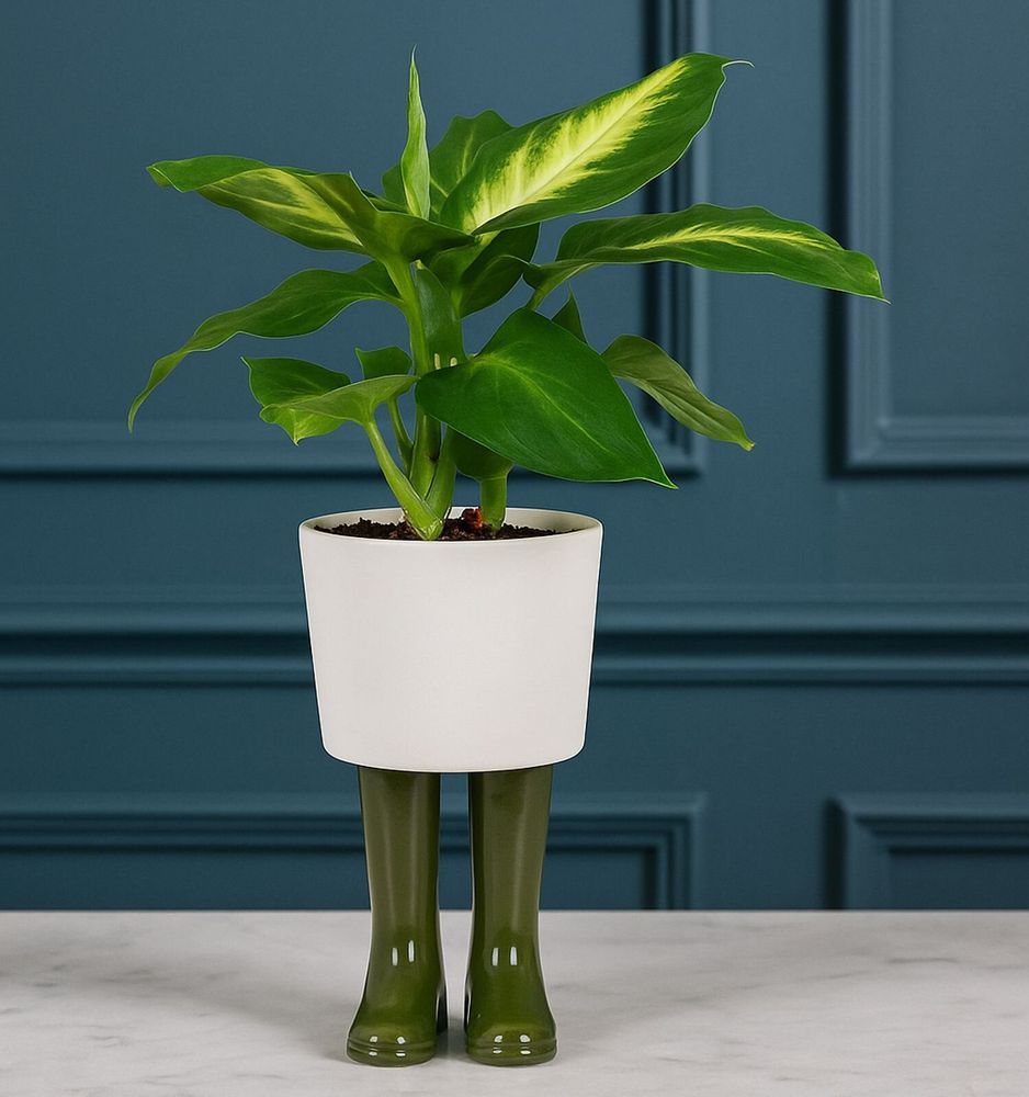 Vases - Bitten Design - Planters & Vases - LA PETITE CENTRALE