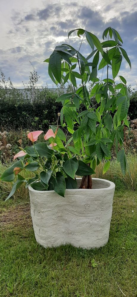 Vases - Vortexi - ATELIER SCRALAN