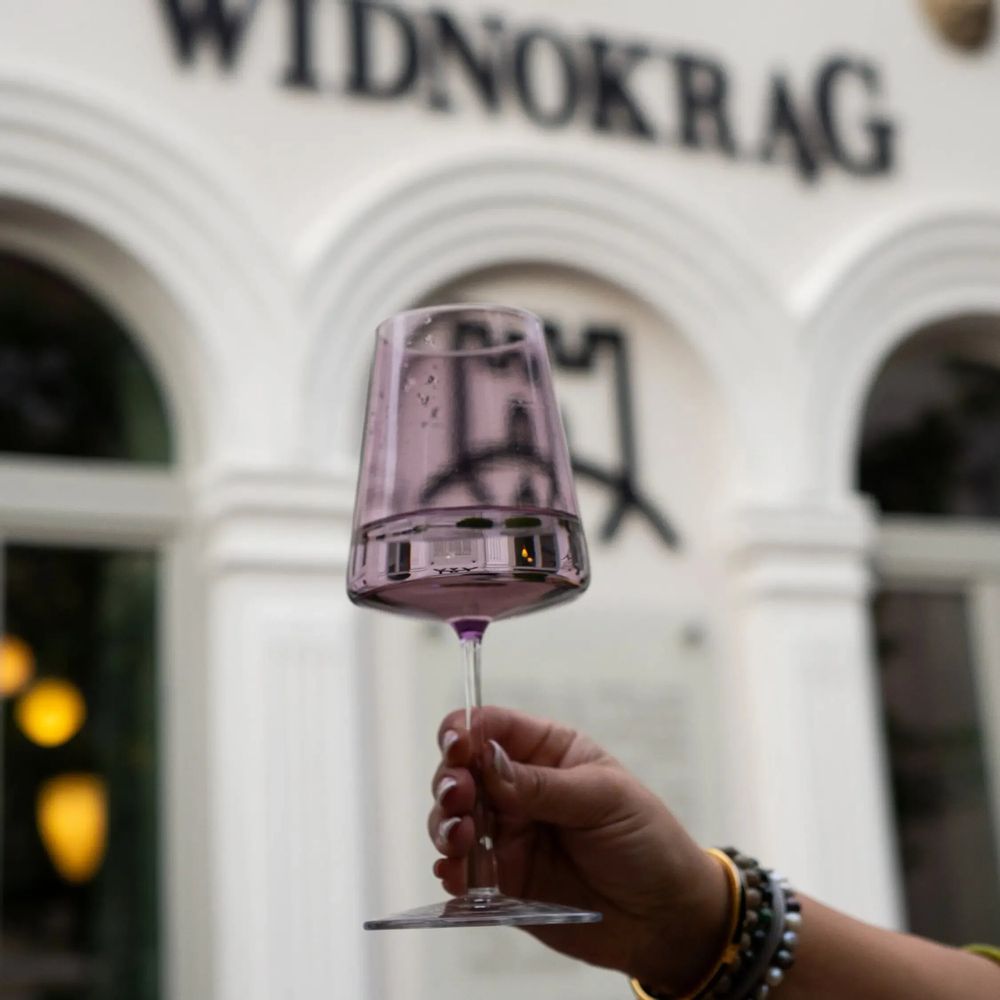 Glass - Vida Slate Colored Wine Glass - 6 pieces 400 ml - PEKALLA CRISTAL GLASS