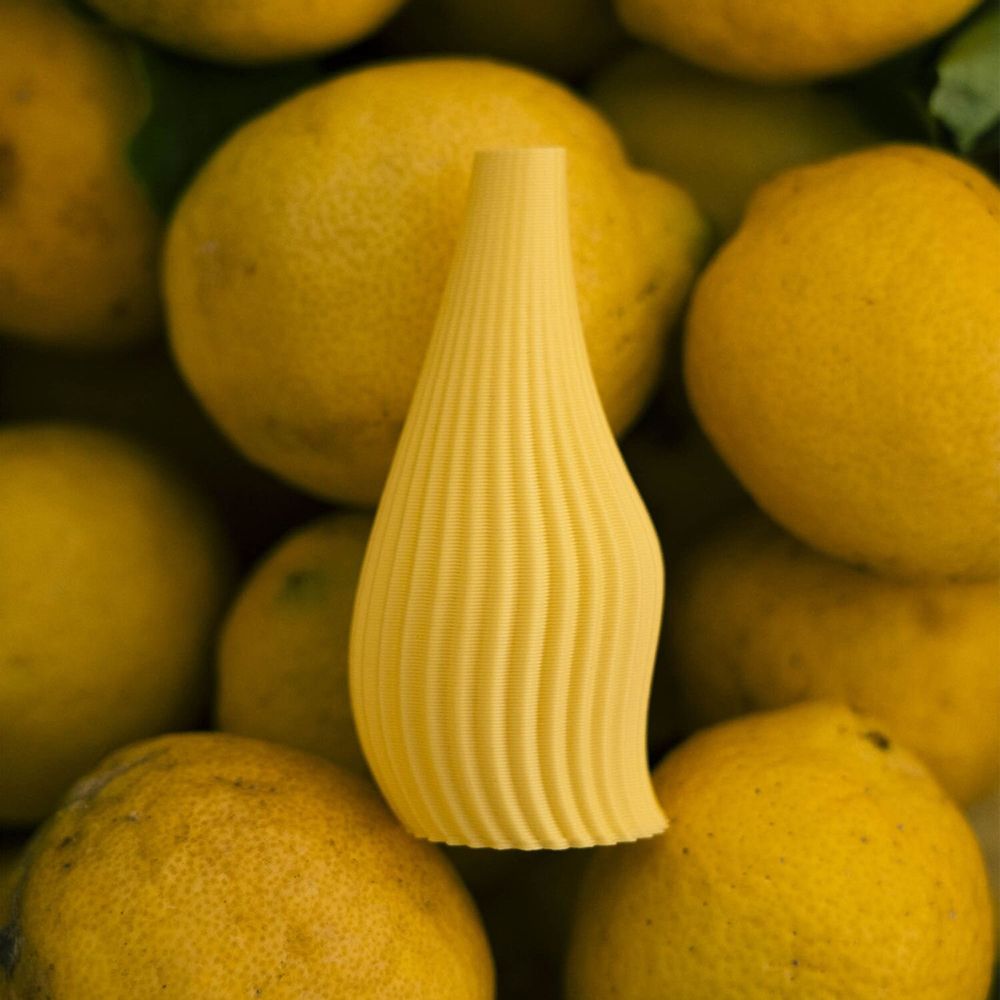 Objets design - Moyen vase Légume - ATELIER MAHD