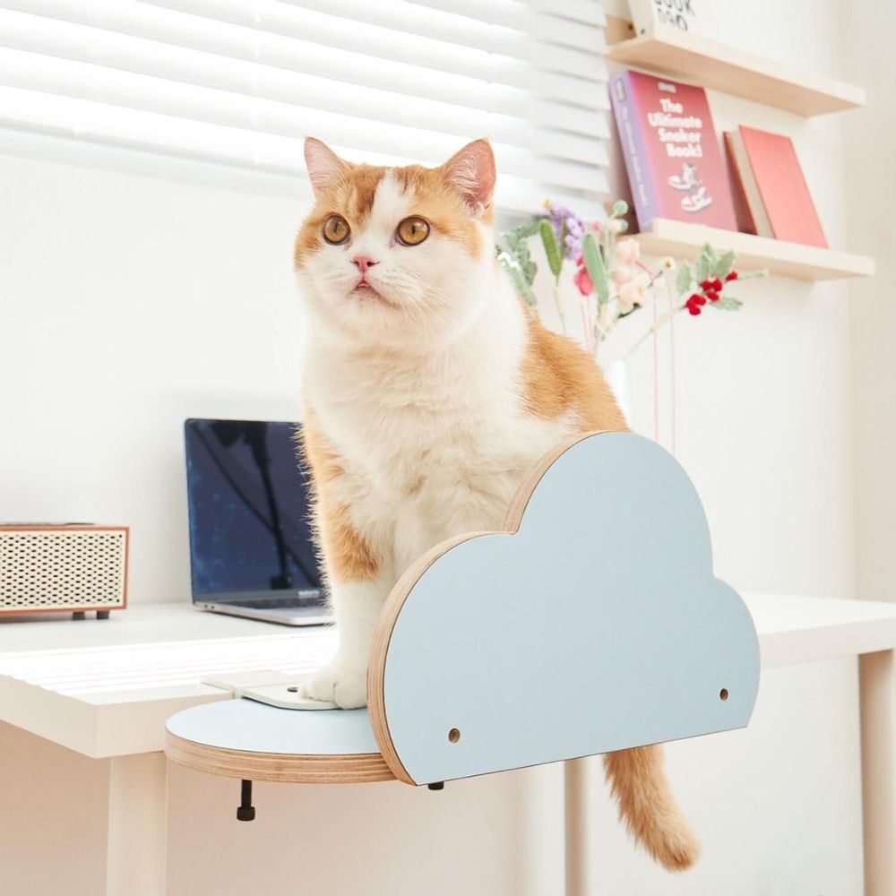 Shelves - Cat Clamp Collection – Modular Pet Furniture - POOCH & PURRR DESIGN
