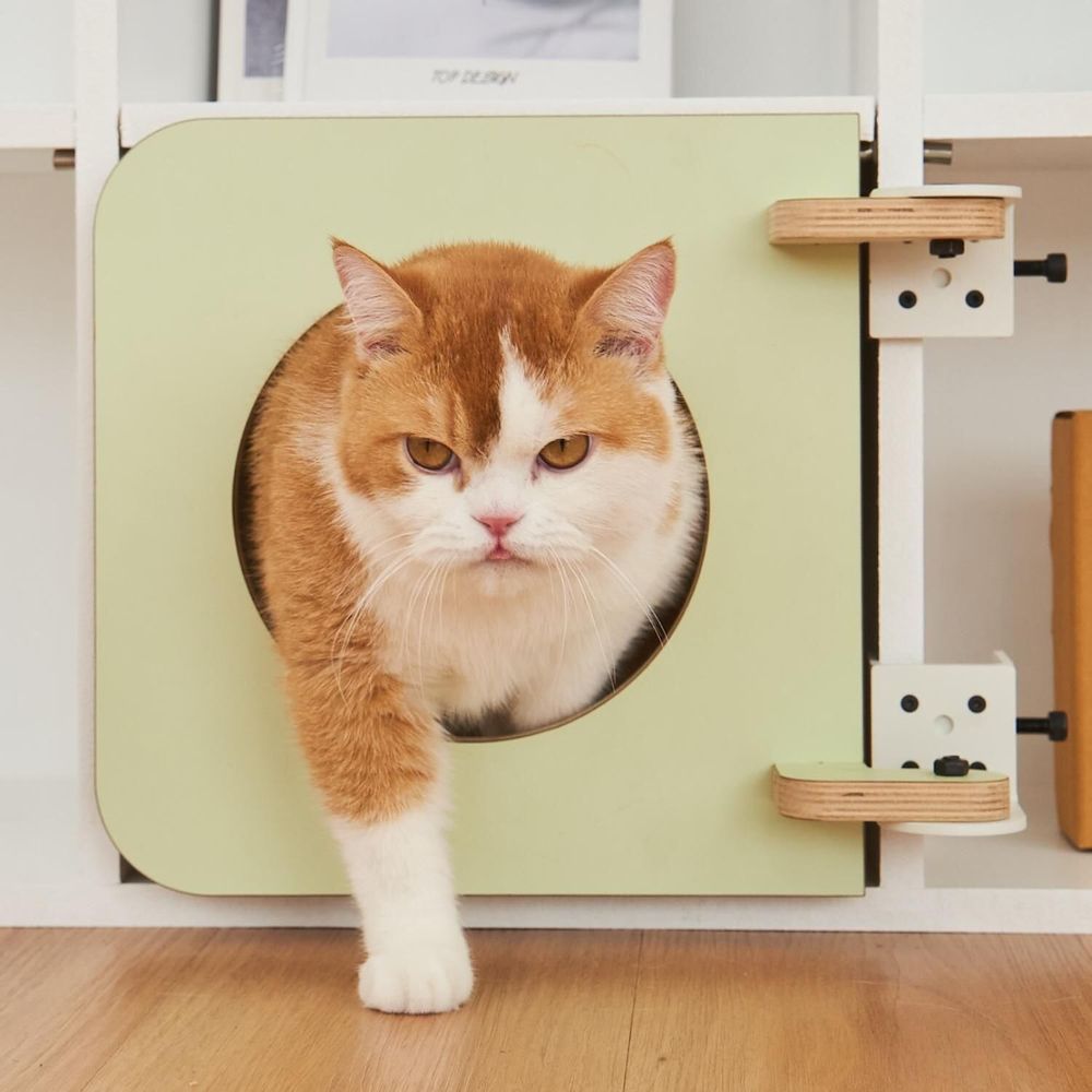 Shelves - Cat Clamp Collection – Modular Pet Furniture - POOCH & PURRR DESIGN