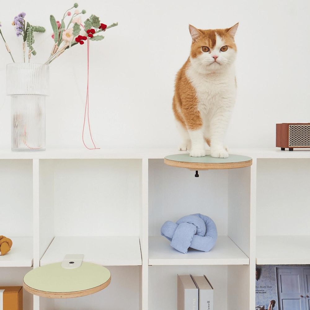 Shelves - Cat Clamp Collection – Modular Pet Furniture - POOCH & PURRR DESIGN