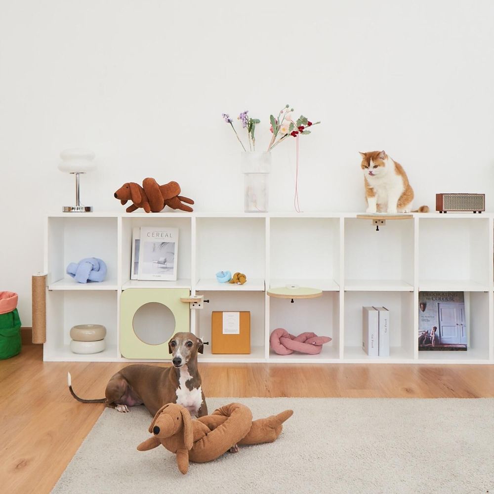 Shelves - Cat Clamp Collection – Modular Pet Furniture - POOCH & PURRR DESIGN