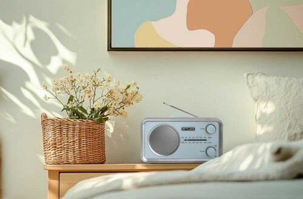 Speakers and radios - RADIOS PORTABLES PREMIUM MF-060 - MUSE