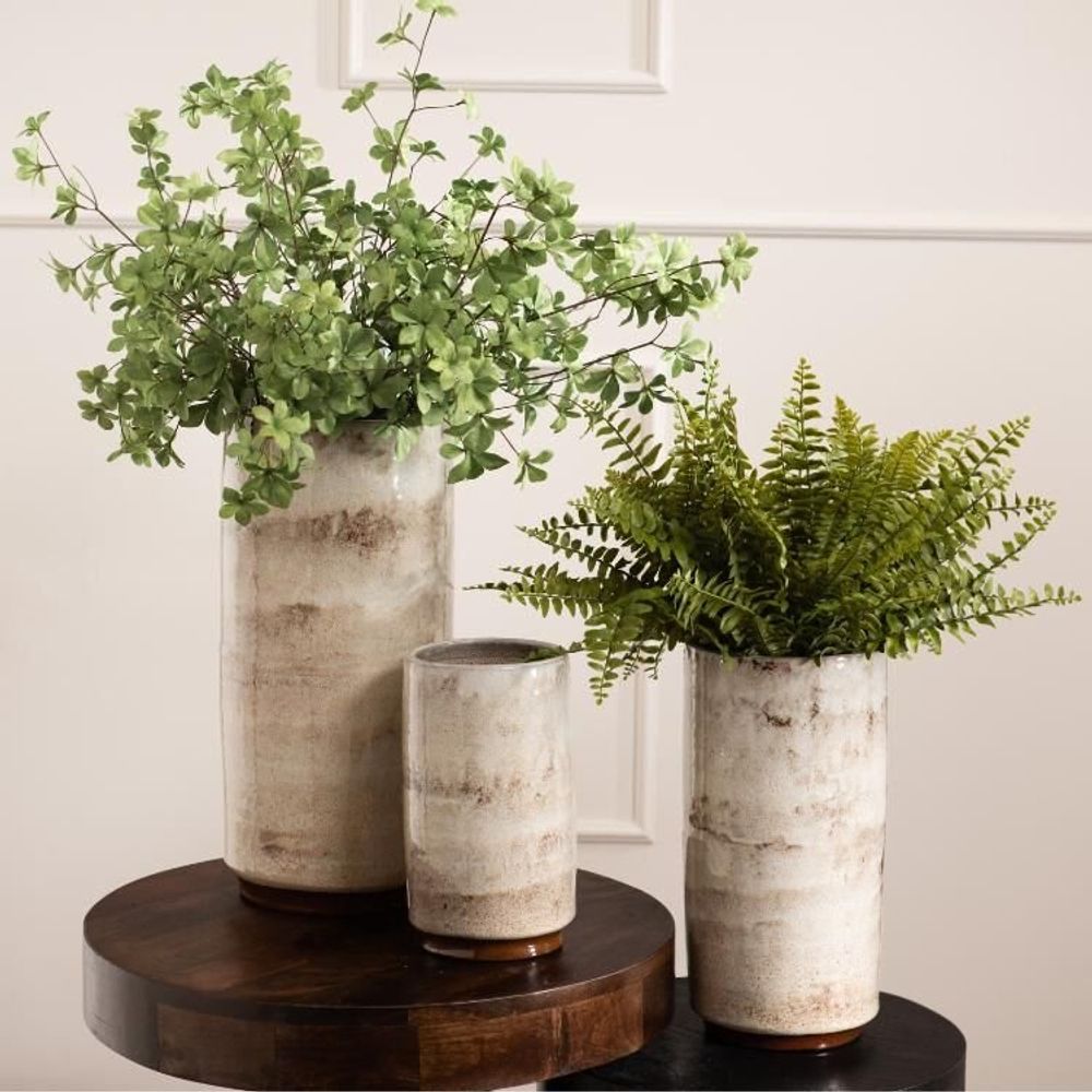 Floral decoration - FOUGERE NEPHROLEPIS - LOU DE CASTELLANE