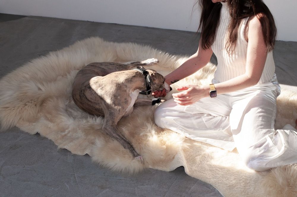 Tapis design - Tapis ivoire en peau de mouton irrégulière naturelle - - MELLOW CONCEPT STORE