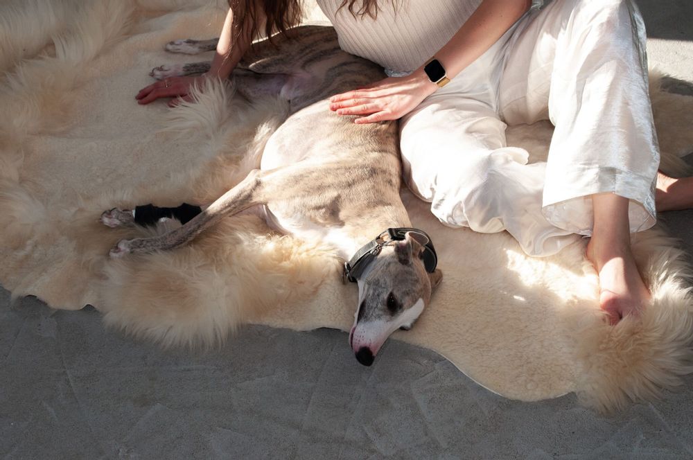Tapis design - Tapis ivoire en peau de mouton irrégulière naturelle - - MELLOW CONCEPT STORE
