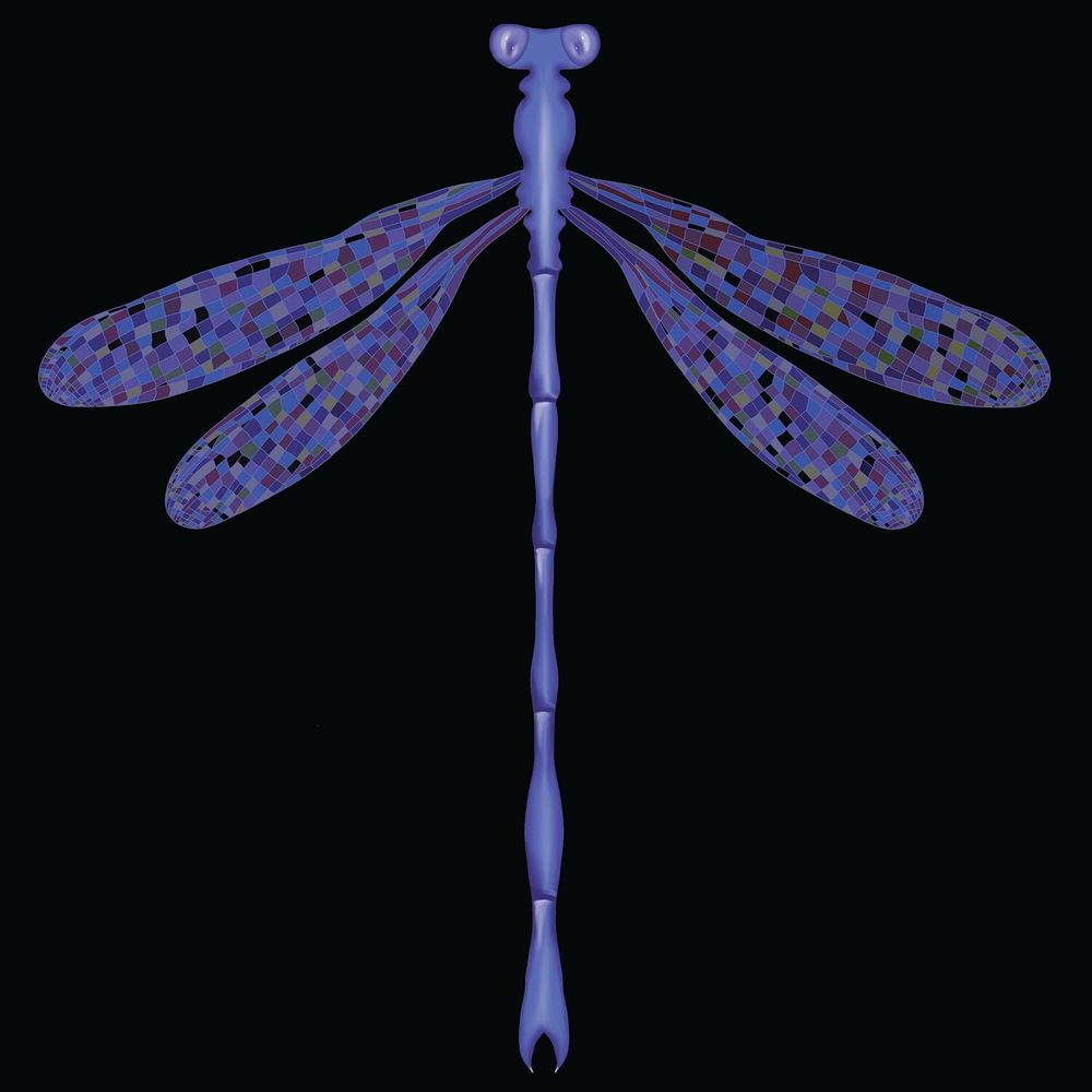 Other wall decoration - Dragonfly Black wallpaper - TUMASOVA DESIGN