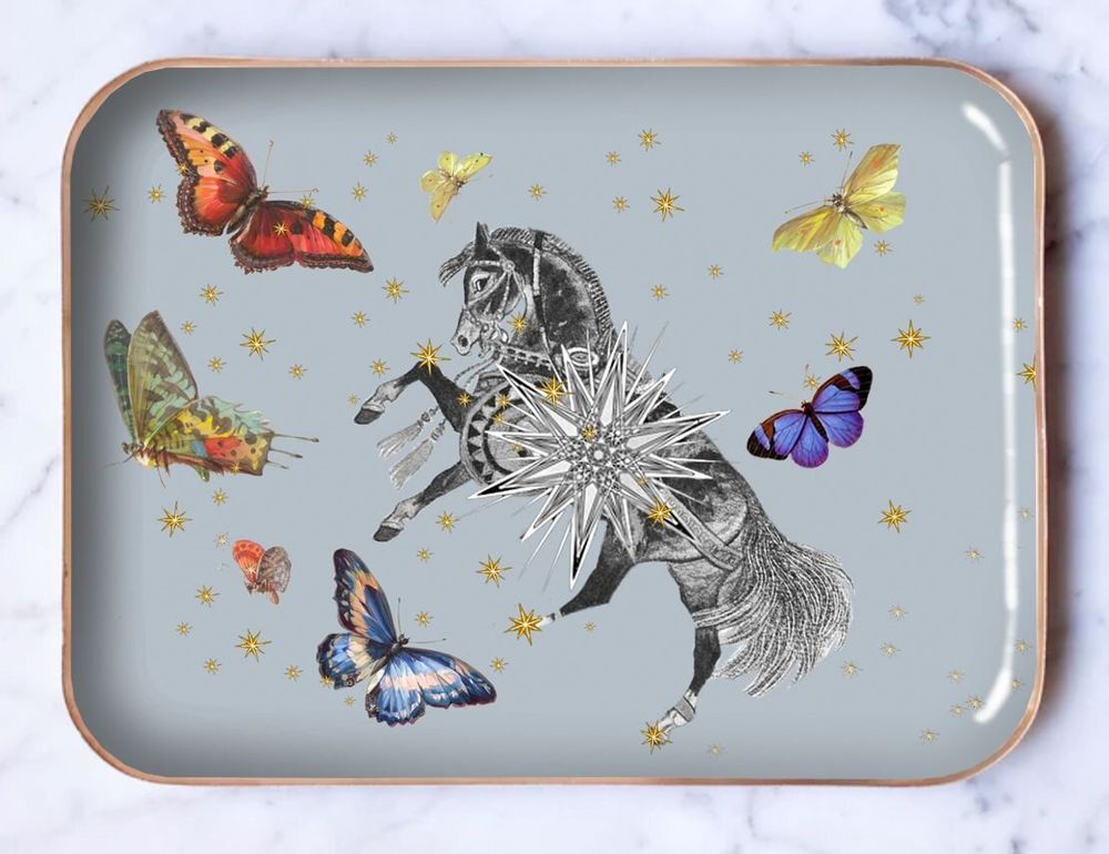 Trays - Enamelled tray or pouch\" The enchanted garden\ " - PARADISIO IMAGINARIUM