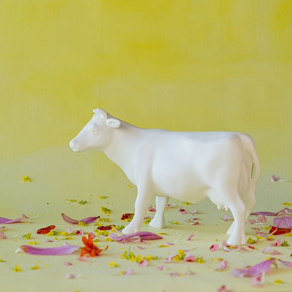 Decorative objects - GRETE cow figure - KLATT OBJECTS