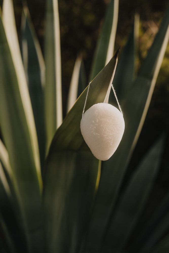 Cosmétiques - Éponge pour le visage en konjac | Outil de beauté durable et naturel - AZUR NATURAL BODY CARE