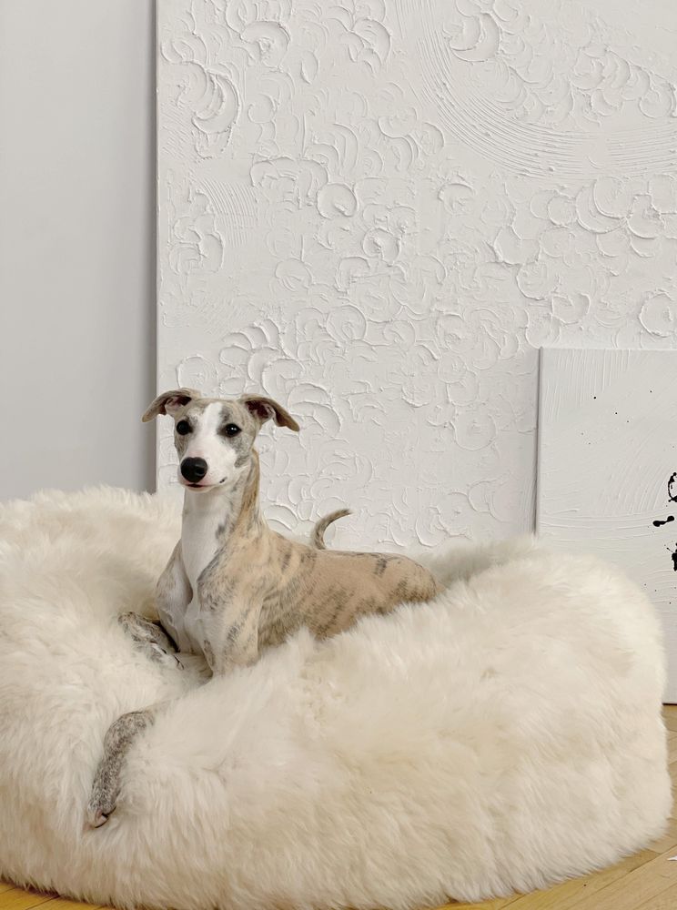 Lits - Lit Ovale pour Animal en Peau de Mouton Naturelle – Blanc - MELLOW CONCEPT STORE