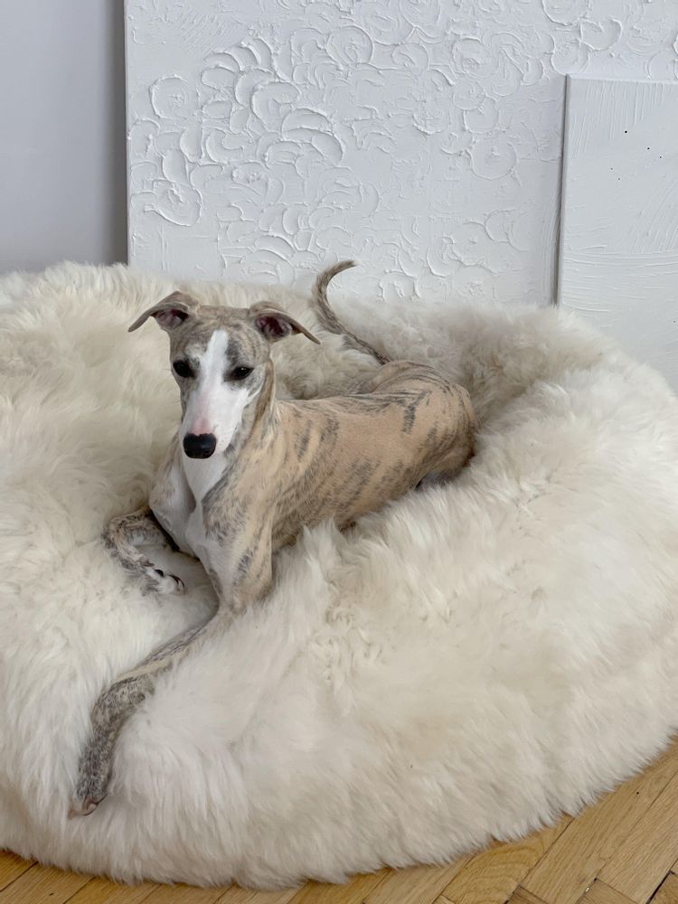 Lits - Lit Ovale pour Animal en Peau de Mouton Naturelle – Blanc - MELLOW CONCEPT STORE