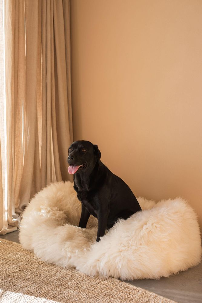 Lits - Lit Ovale pour Animal en Peau de Mouton Naturelle – Blanc - MELLOW CONCEPT STORE
