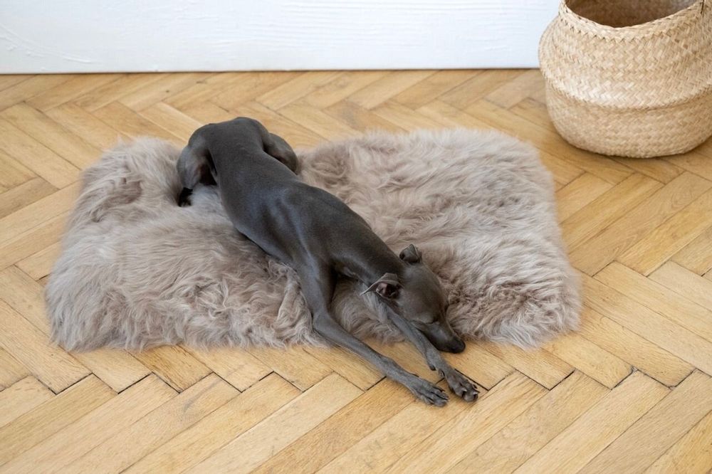 Lits - Tapis Carré ou Rectangulaire en Peau de Mouton Naturelle – Greige - MELLOW CONCEPT STORE