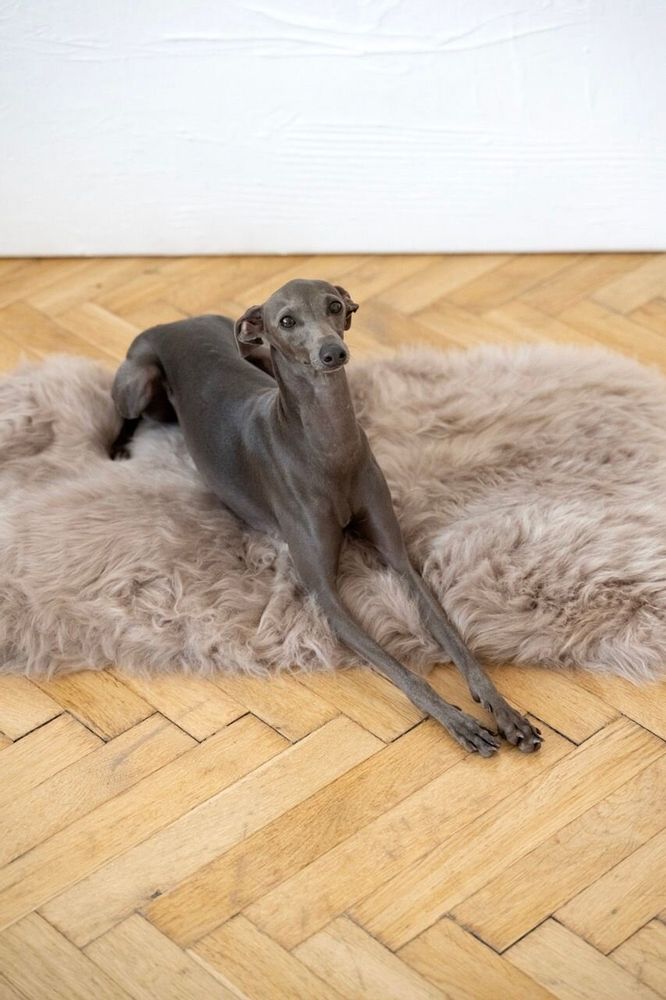 Lits - Tapis Carré ou Rectangulaire en Peau de Mouton Naturelle – Greige - MELLOW CONCEPT STORE