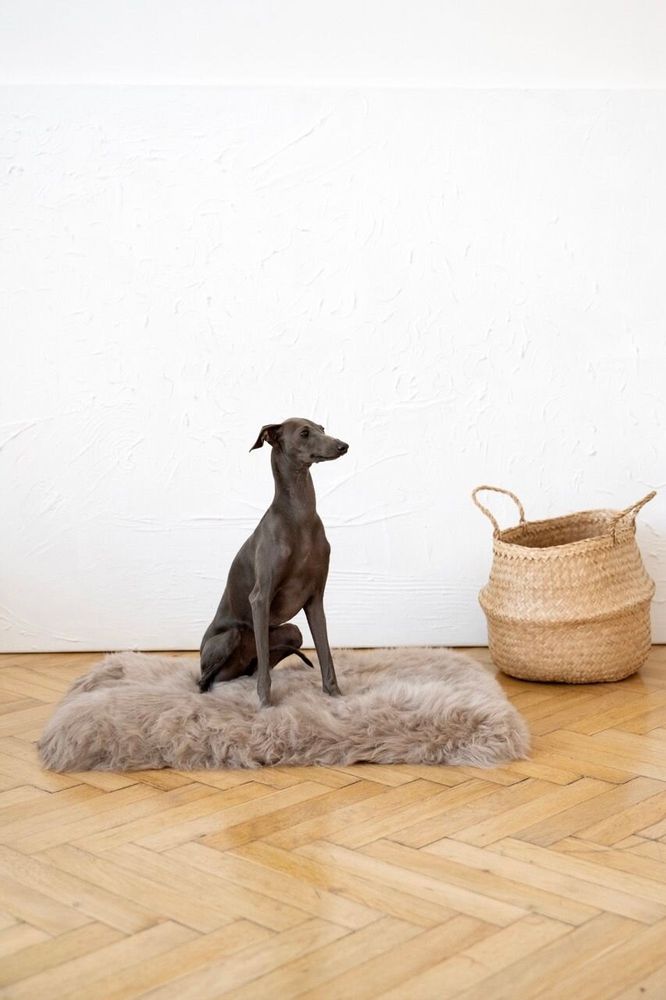 Lits - Tapis Carré ou Rectangulaire en Peau de Mouton Naturelle – Greige - MELLOW CONCEPT STORE