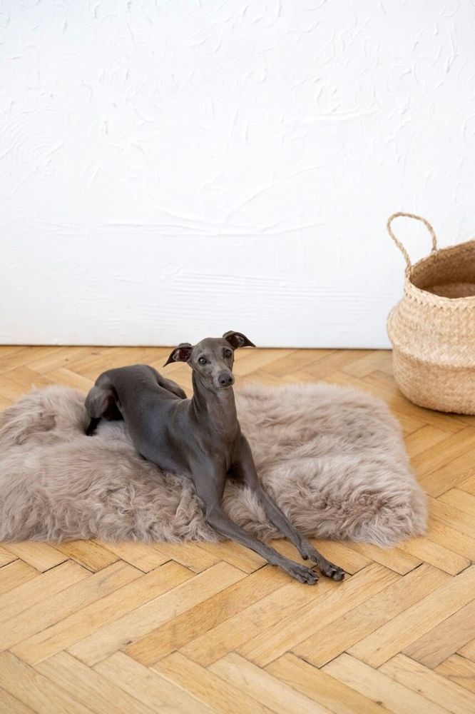 Lits - Tapis Carré ou Rectangulaire en Peau de Mouton Naturelle – Greige - MELLOW CONCEPT STORE